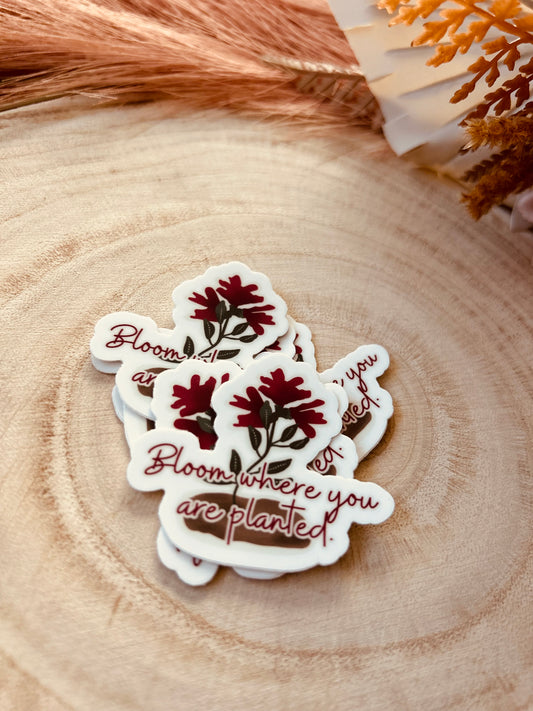 “Bloom where you are planted”sticker